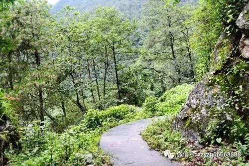 2021年的路虎极光是奇瑞的吗游戏画面